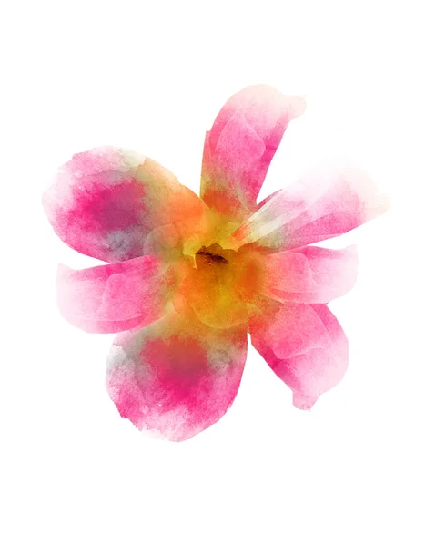 白い背景に隔離された水彩画の花 — ストック写真