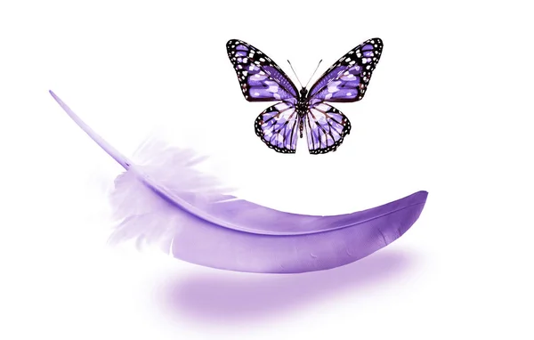 美丽的彩色羽毛和蝴蝶在白色背景上隔离 — 图库照片