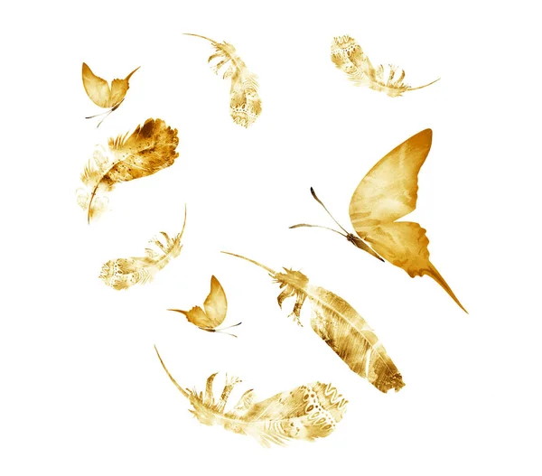 Aquarellfedern Mit Schmetterlingen Auf Weißem Grund — Stockfoto
