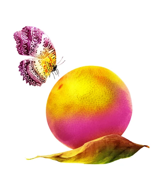 Kelebekli suluboya narenciye