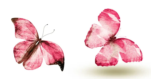 Dwa Motyle Akwarela Izolowane Białym Tle — Zdjęcie stockowe