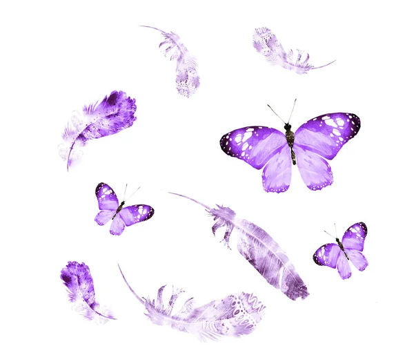 白い蝶と水彩羽 — ストック写真