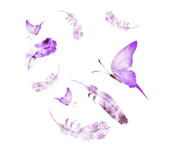 Plumas Acuarela Con Mariposas Sobre Blanco —  Fotos de Stock