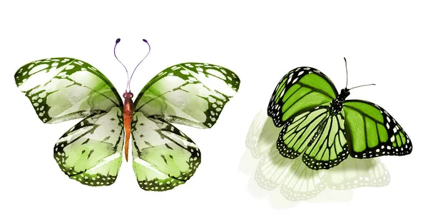 Zwei Natürliche Und Aquarellierte Schmetterlinge Isoliert Auf Weißem Hintergrund — Stockfoto