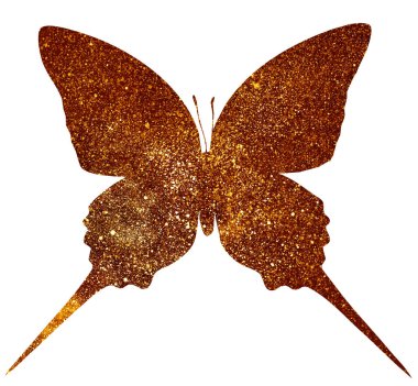 Kozmos kelebeği bembeyaz