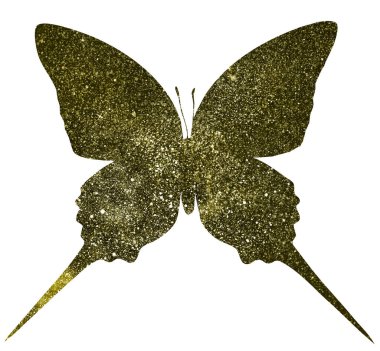 Kozmos kelebeği bembeyaz