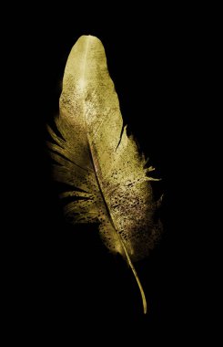 Siyah üzerine suluboya tüy