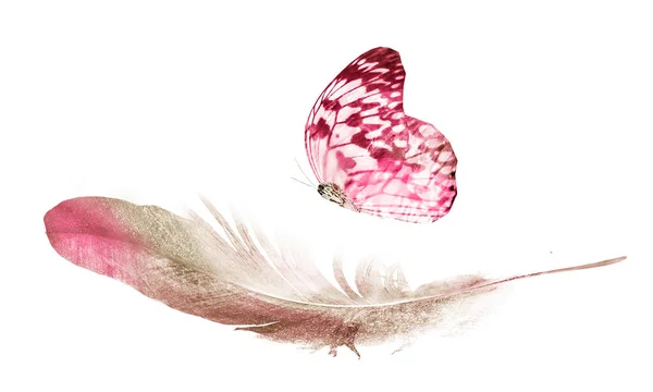 Watercolor Feathers Butterfly Isolated White Background — Stock Photo, Image