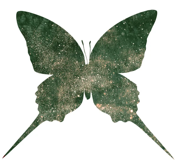 Kosmický Motýl Izolovaný Bílém — Stock fotografie