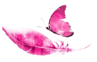 Kelebekli suluboya tüyler, beyaz arka planda izole.