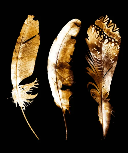 Φτερά Ακουαρέλας Μαύρο — Φωτογραφία Αρχείου