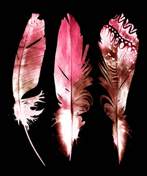 Watercolor Feathers Black — Stockfoto
