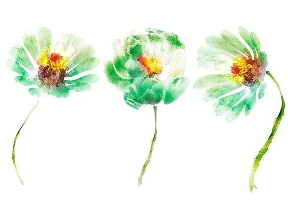 Aquarel bloemen, geïsoleerd op witte achtergrond — Stockfoto