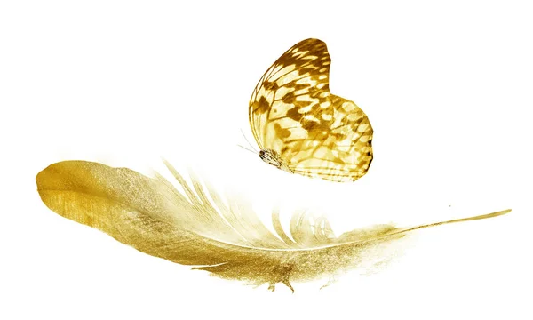Pióra Akwarelowe Motylem Izolowane Białym Tle — Zdjęcie stockowe