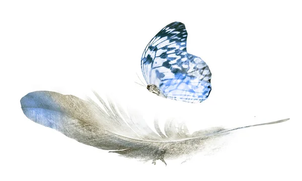 Акварельні Пір Метеликом Ізольовані Білому Тлі — стокове фото