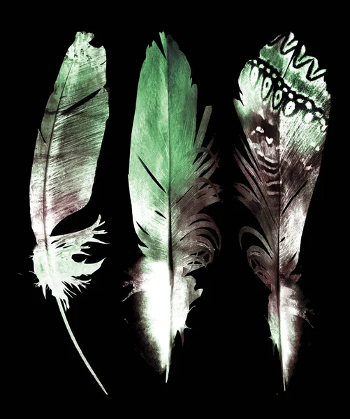 Watercolor Feathers Black — Stockfoto