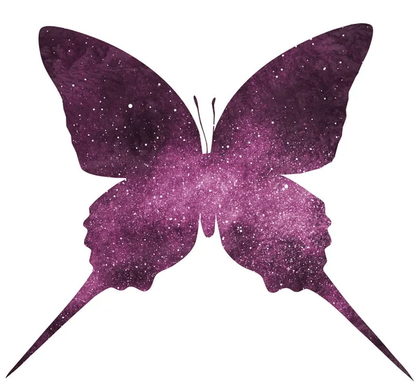 Kosmos Schmetterling Isoliert Auf Weiß — Stockfoto