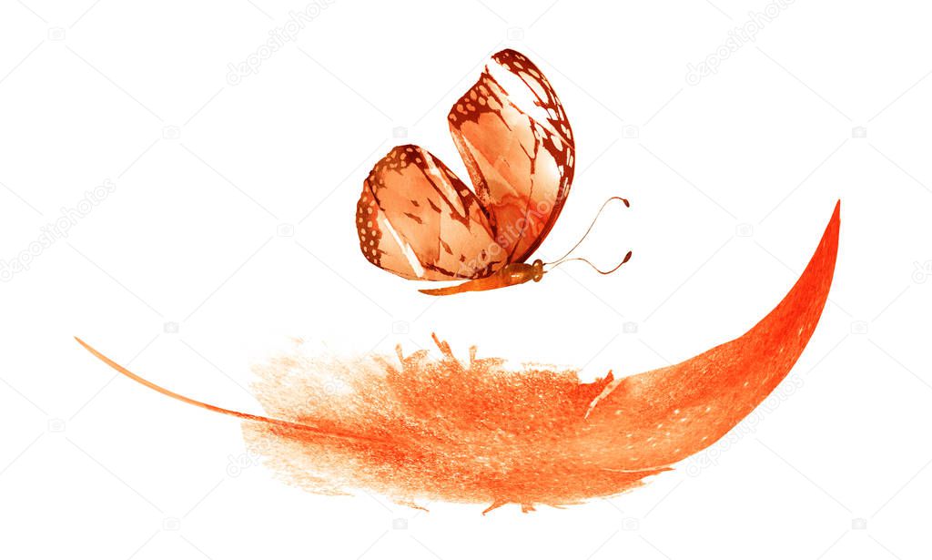 Watercolor feathers with butterfly, isolated on white background