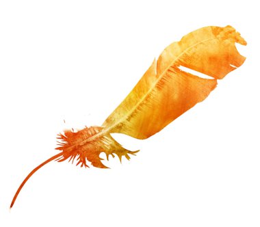 beyaz üzerine suluboya tüy