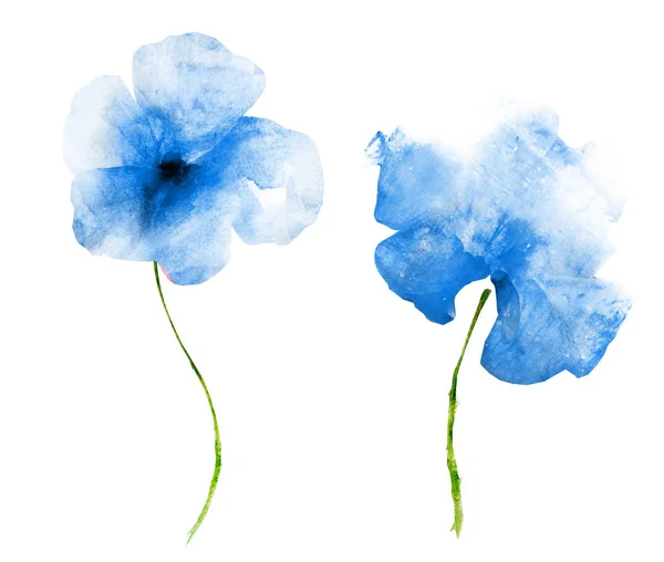 Akvarelové Květiny Izolované Bílém Pozadí — Stock fotografie