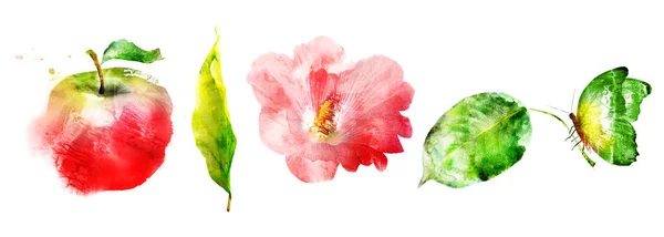 Aquarel Bloemen Fruit Set Wit — Stockfoto