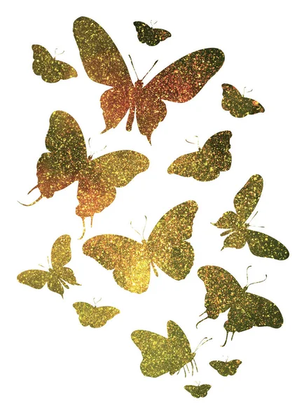 Зграя Старовинних Метеликів Білому — стокове фото