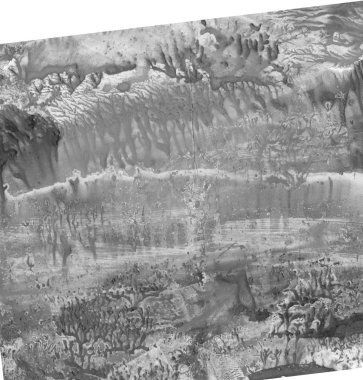 beyaz izole mavi kelebek