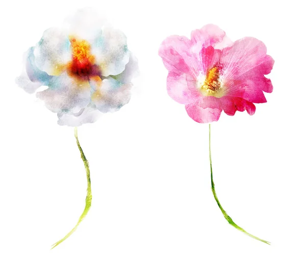 Aquarel Bloemen Geïsoleerd Witte Achtergrond — Stockfoto
