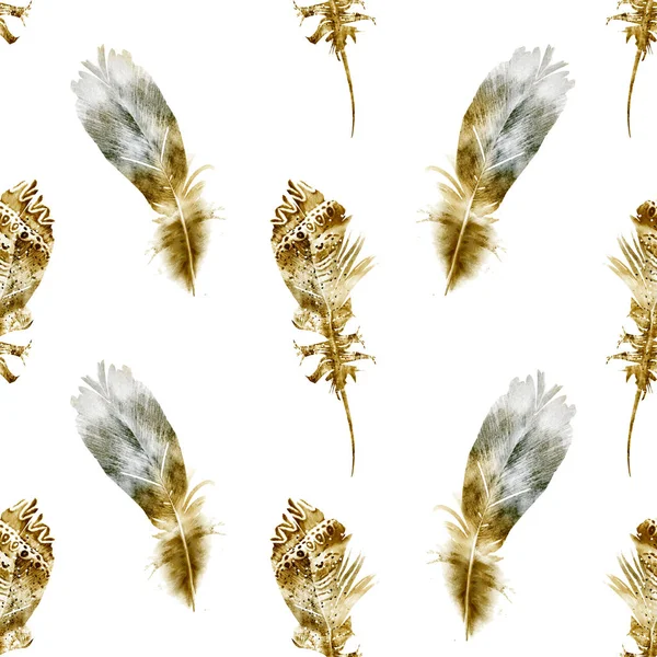 Seamless Pattern Watercolor Feather — Stock Photo, Image