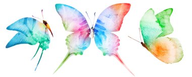 Beyaz arka planda üç suluboya kelebek.