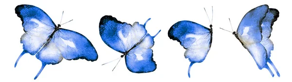 白い背景に隔離された4羽の水彩蝶 — ストック写真