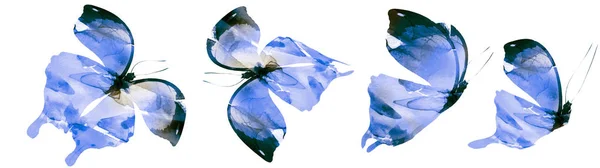 Fyra Akvarell Fjärilar Isolerade Vit Bakgrund — Stockfoto