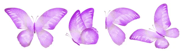 Vier Aquarell Schmetterlinge Isoliert Auf Weißem Hintergrund — Stockfoto