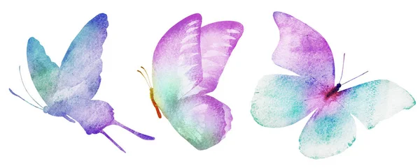 Tres Mariposas Acuarela Aisladas Sobre Fondo Blanco — Foto de Stock