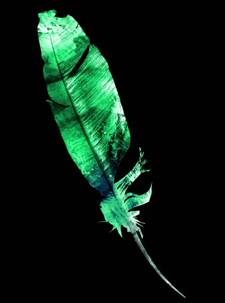 Watercolor Feather Black — Stockfoto