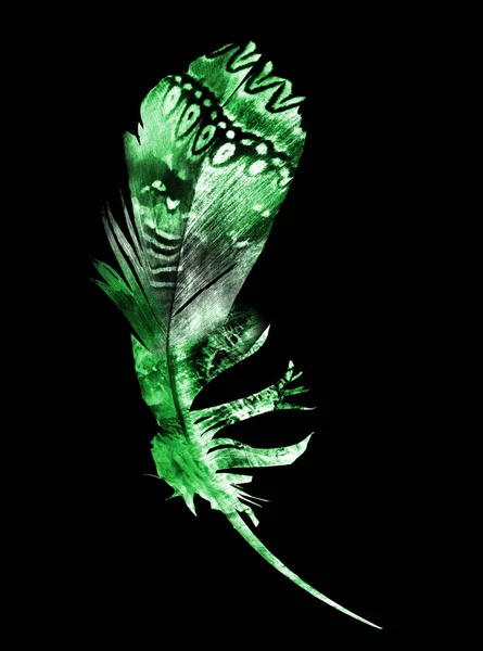 Watercolor Feather Black — Stockfoto