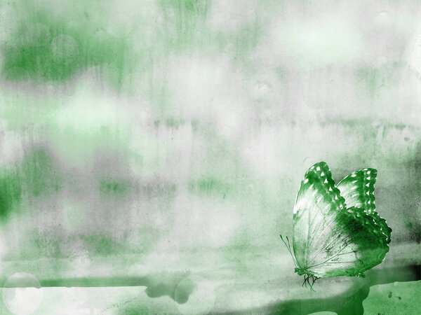 Естественный фон с бабочкой. Акварель
