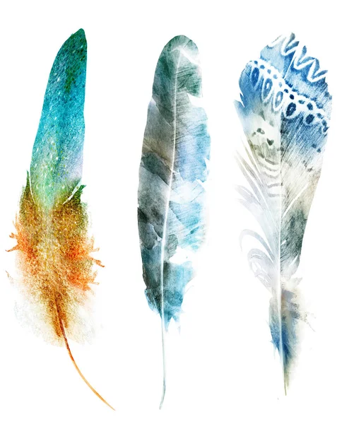 Watercolor Feathers Isolated White Background — Stock Photo, Image