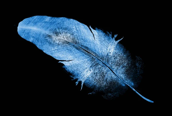 白の水彩羽 — ストック写真