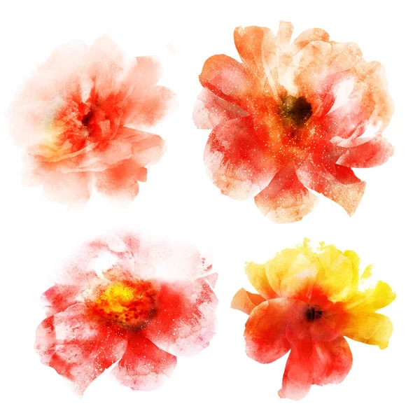 Watercolor Natural Set White Background — Stock Photo, Image