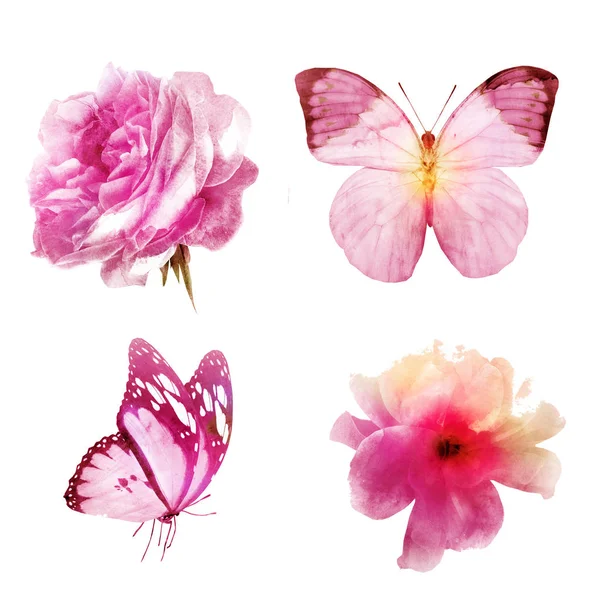 4つの水彩画の花と白蝶 セット — ストック写真