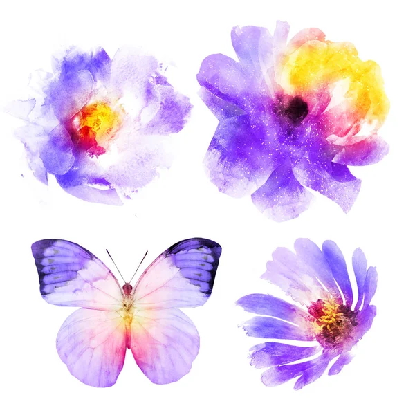 Cuatro Flores Acuarela Mariposa Sobre Blanco Conjunto — Foto de Stock