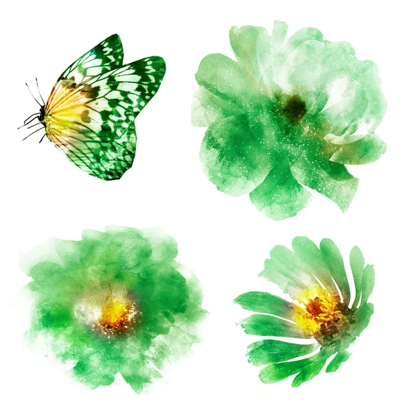 Vier Aquarelbloemen Vlinder Wit Reeks — Stockfoto
