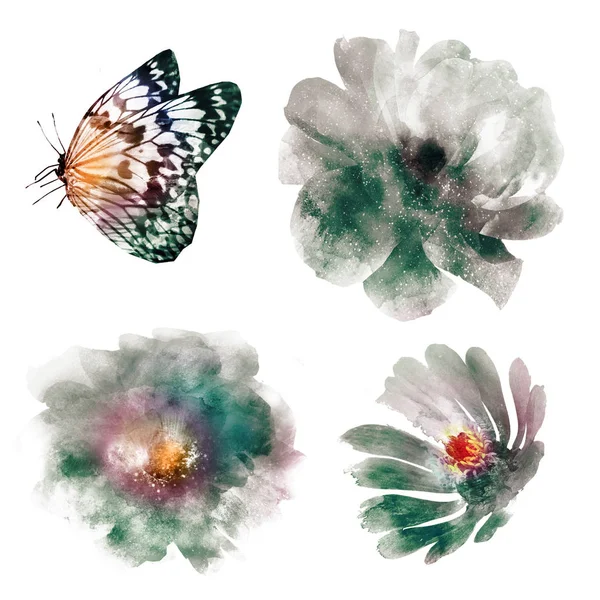 Quatre Fleurs Aquarelle Papillon Sur Blanc Ensemble — Photo