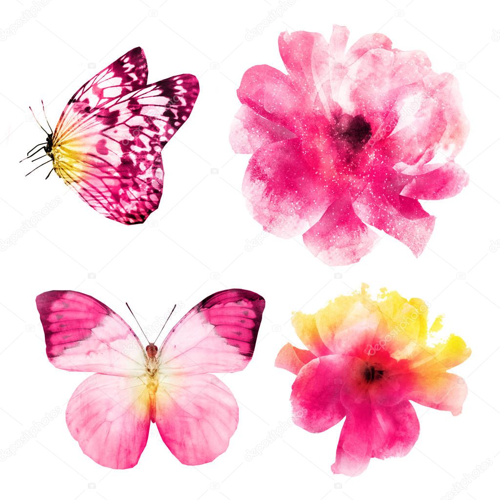 Four watercolor flowers and butterflies on white. Set