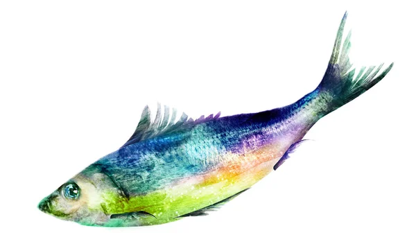 Peixe Aquarela Branco — Fotografia de Stock