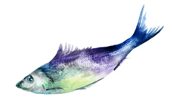 Poisson Aquarelle Sur Blanc — Photo