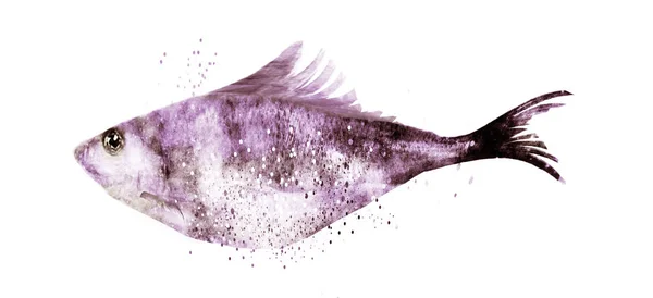 Peixe Aquarela Branco — Fotografia de Stock