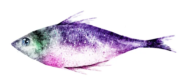 Peixe Aquarela Branco — Fotografia de Stock