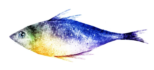 白身魚の水彩画 — ストック写真